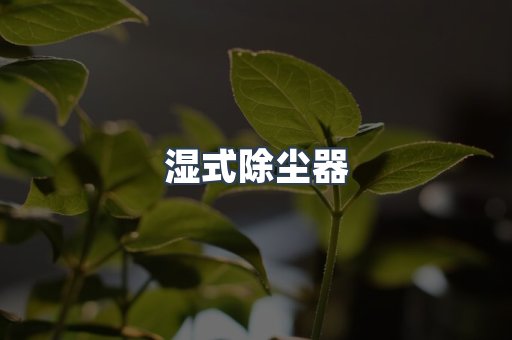 湿式除尘器