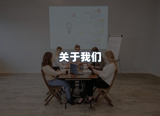 关于我们